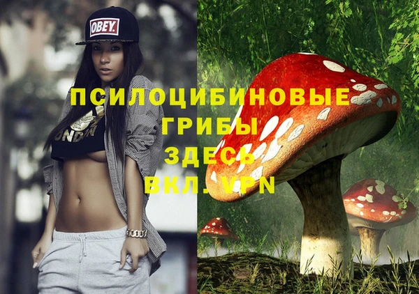 соль курить ск Кукмор