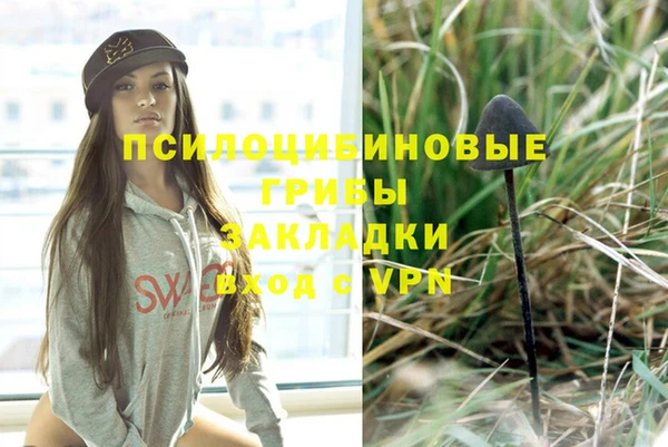 СК Куйбышев