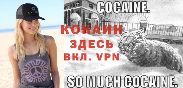 соль курить ск Кукмор