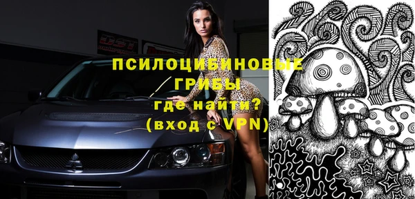 тгк Кулебаки
