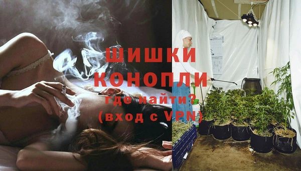 СК Куйбышев