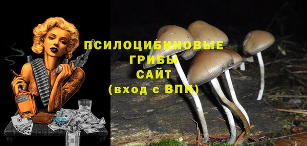 тгк Кулебаки