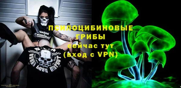 тгк Кулебаки